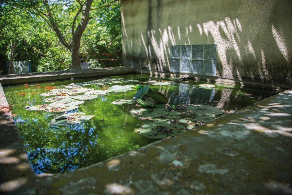 Villa Authentique mas provençal Gémenos Extérieur photo